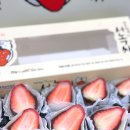 아씨네간식 | 서녹씨 과일모찌 여수과일모찌 원조 딸기찹쌀떡 찹쌀모찌 후기