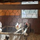 서운농장 이미지