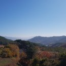 수원-0183 이미지