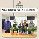 농성1동 행정복지센터 | [전남광주 원예치료]농성1동 행정복지센터 원예 치유 프로그램(보자기포장/라라온실/집단상담/원예체험...