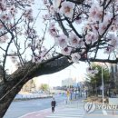 대덕대로-15 이미지