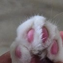 지나스(Gina’s) 이미지