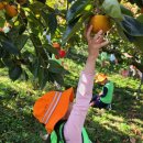 광제산영농조합법인 이미지