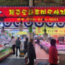 숙이네 닭집 티스토리