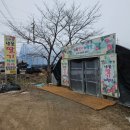 샘물 딸기농장 딸기따기 체험