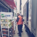 싱싱야채청과