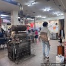 늘푸른한우농장 이미지