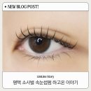 아이현네일 | 평택속눈썹펌 추천 아이현｜소사벌 속눈썹펌 잘하는곳 솔직후기