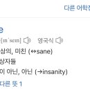 인세인쿠키(INSANE COOKIE)