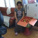 목화약국 이미지