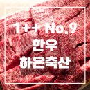 한우축산 | 집에서 즐기는 투뿔 한우 파티, 하은축산 후기