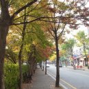 주공아파트 앞 이미지