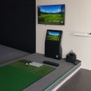 임팩트 스크린골프 이미지