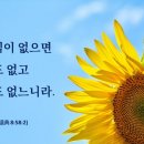 빨간정성 이미지