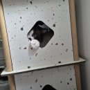 [서울] 모루인형 원데이클래스 | 데이트코스 강추 | 우리집고양이 만들기 <감정선프로젝트 익선동> 후기