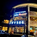 아이비586 이미지