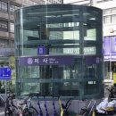 365에펠약국 이미지