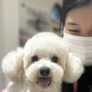 한성뼈해장국 이미지