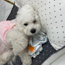 데이지네일 안양범계점