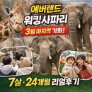 씨나비정보기술(주) | 에버랜드 워킹사파리 마지막주 다녀온 후기｜7살·24개월 유모차 꿀팁 총정리