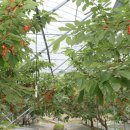 김영종 농장 이미지