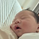 더트리니티(주) | 용산 트리니티 산후조리원 VIP룸 2주 후기 -2부-(조리원할인꿀팁)