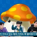 G식백과 이미지