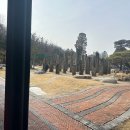 오라힐스 이미지