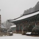 지족목장 네이버블로그