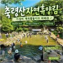 박달나무쉼터 옆 | 남양주 축령산자연휴양림 물놀이장 후기｜박달나무 106호 4인가족 주말숙박 6만원