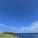 제주의 향기 이미지