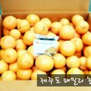 생규농장 이미지