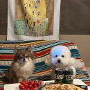 월미공원 운동장매점 화장실 | 서산 애견동반숙소 펫앤트리 애견글램핑 운동장·개별펜스·편의시설 다양한 곳 대형견 가능