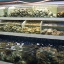 조개일번지 이미지