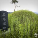 곡성-222 이미지