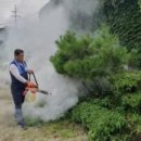 순천만짱둥어마을 이미지