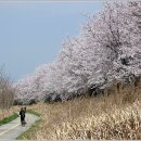 꽃길 - 서귀포시 중앙로72번길 4 | 꽃길