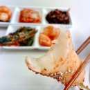 바이오팜스 | 소셜바이오 팜스락 김치 5종세트 체험후기 ! / 여수 사회적경제기업 제품