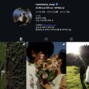 제주 웨딩 스냅 로즈메리 내돈내산 후기
