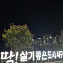 희망의 빛 | 서구희망의빛거리 - 부산가볼만한곳 야경 근처관광지 뚜벅이 주차