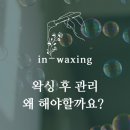 in_waxing 이미지
