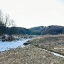 이리사지3층석탑 | 증평 유물 남하리사지 마애불상군과 삼층석탑