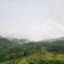 아성플로리체공인중개사사무소 | 위례중흥S클래스 매매