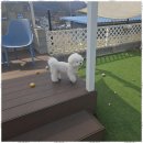 아로하스토리 이미지