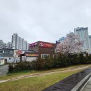 철길숲(우현동) 이미지