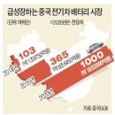 전기차 생산. 한국 배터리 차별" 비판에 중국 한발 물러서 이미지