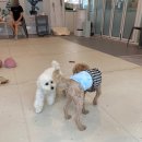 마인드몽 유치원 이미지