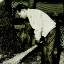 박정희로-3 이미지