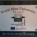 드메이 이미지