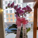 이음음악교습소 네이버블로그